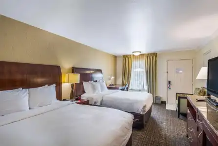 Clarion Inn & Suites Central Clearwater Beach - 1