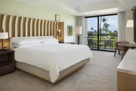 Hilton Waikoloa Village - 235