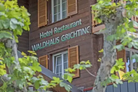 Waldhaus - 0