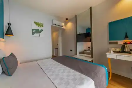 Tema 242 - 61