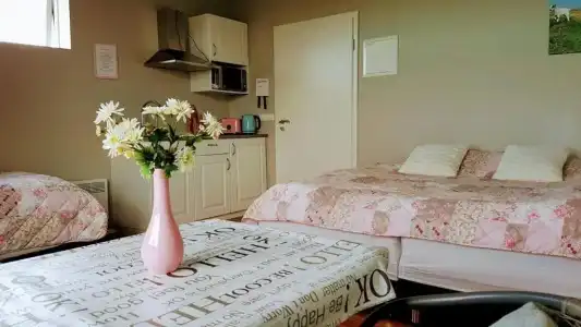 Skálatjörn Guesthouse - 62