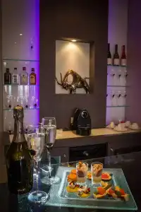 Hôtel & Spa Vatel - 81