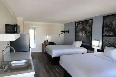 Super 8 by Wyndham Austin South / I-35 - 13