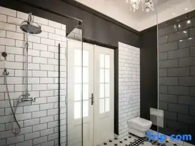 Domus Balthasar Boutique - 253