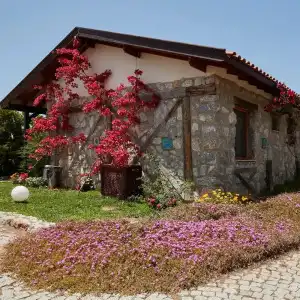 Flow Datca Surf & Beach - 57