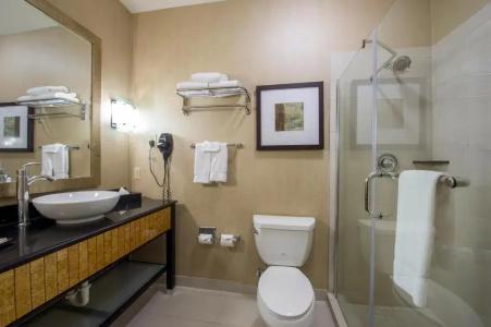 DoubleTree by Hilton Houston Westchase - 46