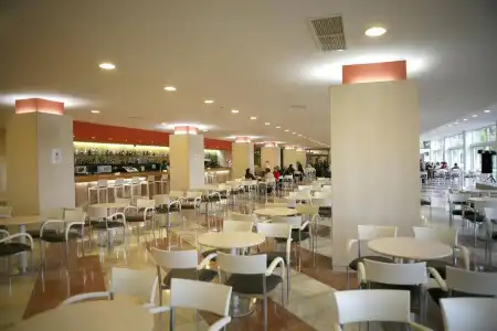 Gran del Coto - 12
