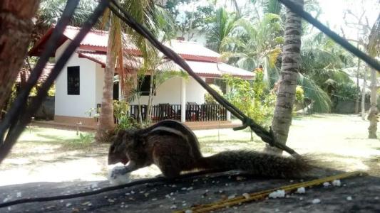 Beach Lagoon Guesthouse - 89