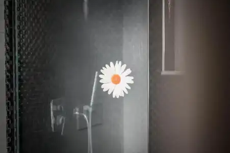 Kamomil - 27