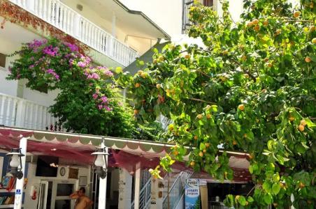 Uysal Motel Beach - 101