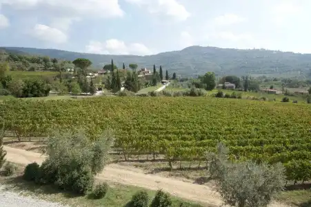 Il Falconiere - 40