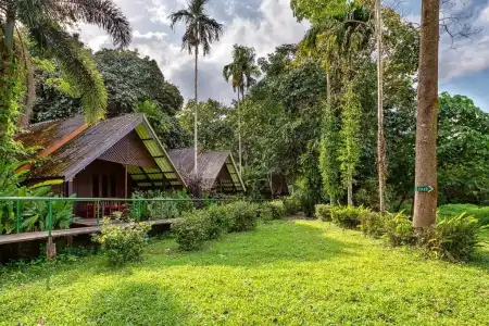 Khao Sok Riverside Cottage - 67