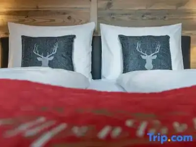 AlpenParks & Apartment Taxacher - 85