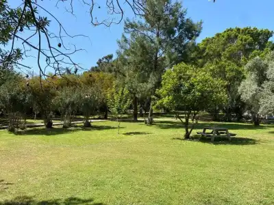 Premium park apart - 187