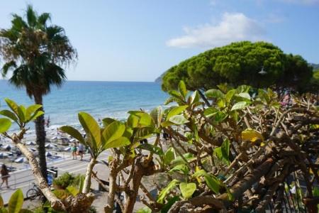 Beau Rivage - 81