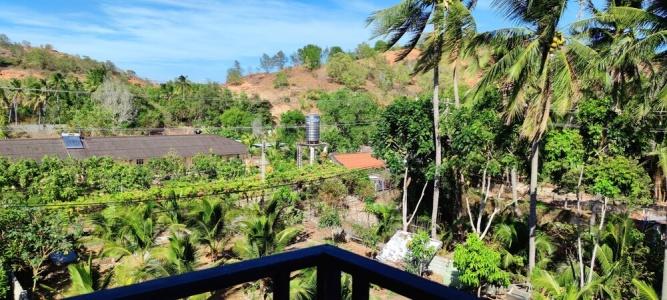 Cat Tien Guesthouse - 77