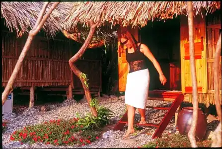 Monkey Island Resort - 63