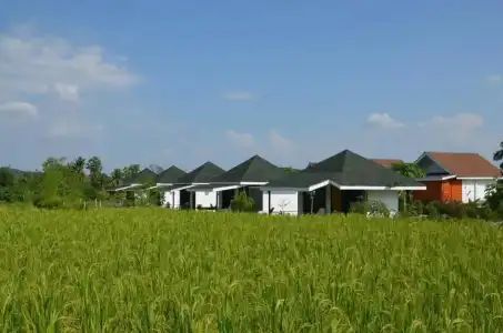 Nok Chan Mee Na - 10