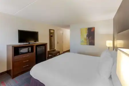 Best Western Plus Toronto Airport - 47