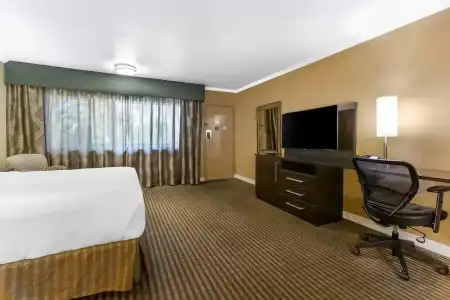 Royal Sun & Suites - 36