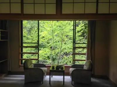 Shirahone Onsen Tsuruya Ryokan - 79
