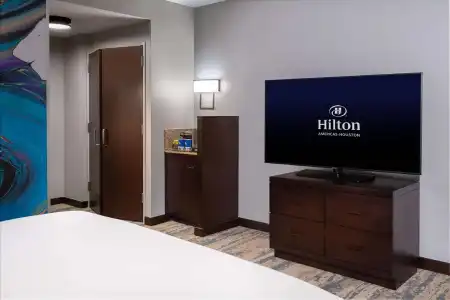 Hilton Americas - - 25