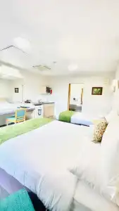 Bella Vista Motel Whangarei - 15