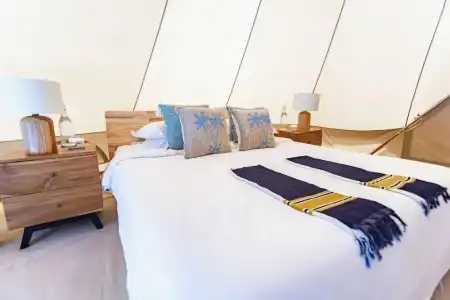 The Maverick Surf and Dive Boutique - 44