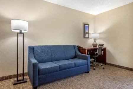 Comfort Inn Charlotte Airport Uptown - 67
