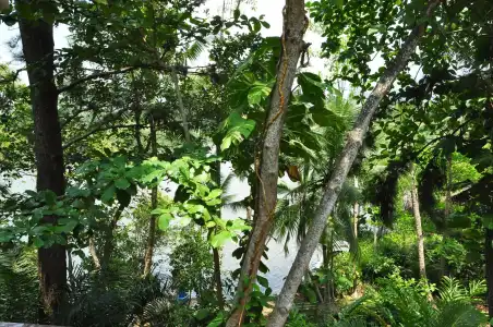 Villa Birdlake - 16