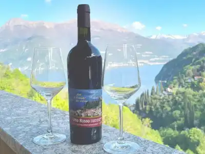 Diffuso Il Portichetto sulla collina a Vezio Perledo - 131