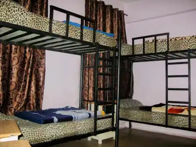 Cliff - Hostel - 19