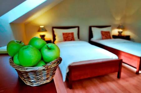 Eco friendly Dalia - 73