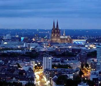 Design Sleepy Cologne - 9