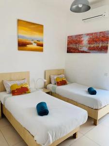 Hostel Malti Budget - 41