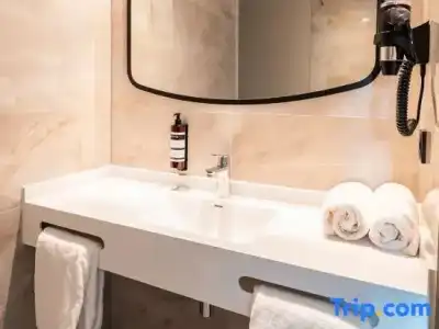 HOTELUX Amsterdam Airport - 27