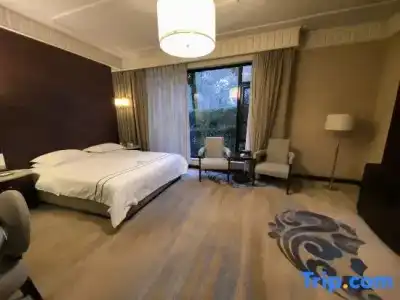 Xishu Forest - 26