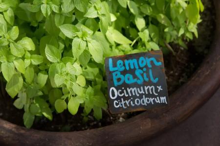 JW Marriott Phoenix Desert Ridge Resort & Spa - 48