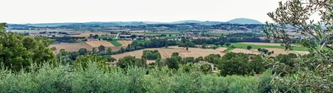 Agriturismo la Palazzetta di Assisi - 31