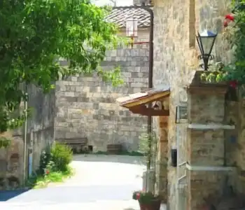 Fattoria San Donato - 24