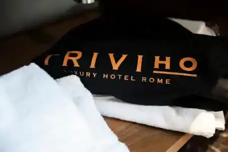 Triviho - 37