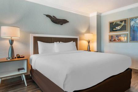 Dolphin Sands Clearwater Beach, an Ascend Collection - 88