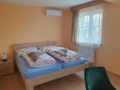 Pension Zelený strom - 13