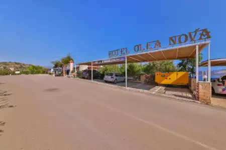Olea Nova - 30