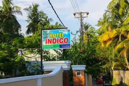 Yoho Indigo - 5