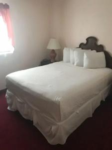 Alamar Resort Inn - 14