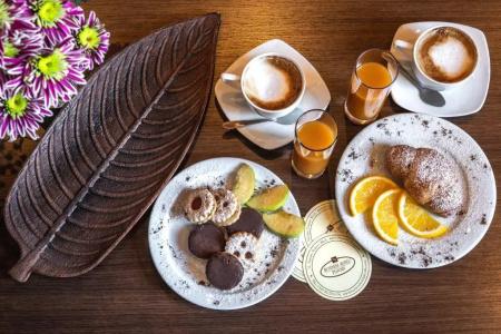 Business Plovdiv - Central Location - 48