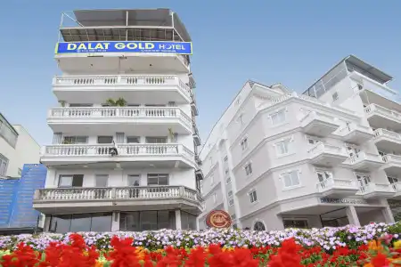 Dalat Gold - 0