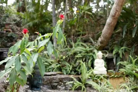 The Garden Burees - 68