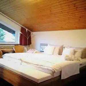 FerienSchwarzwälder Hof - 49